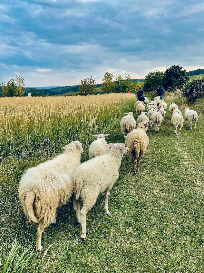 Farma Ovčí Terasy Nemcicky (Breclav) Exterior foto